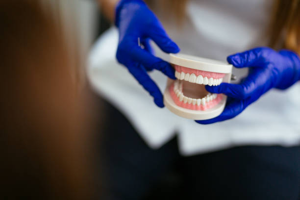 Best Wisdom Tooth Removal  in Williston, FL