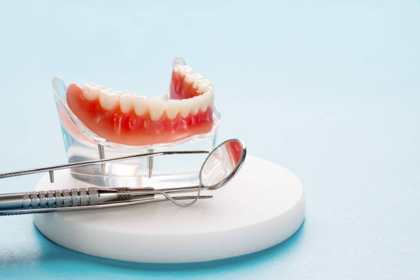 Best Laser Dentistry  in Williston, FL